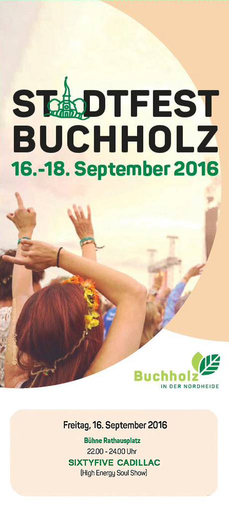 Stadtfest Buchholz